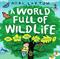 Eco Explorers: A World Full of Wildlife: and how you can protect it